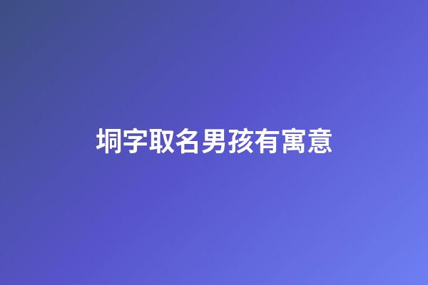 垌字取名男孩有寓意(垌字適合起名字嗎)-第1張-男孩起名-玄機派