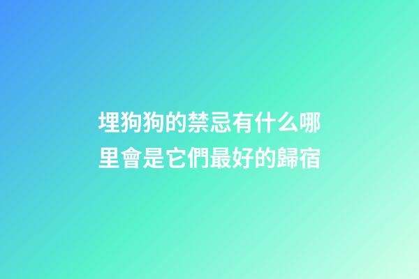 埋狗狗的禁忌有什么?哪里會是它們最好的歸宿?