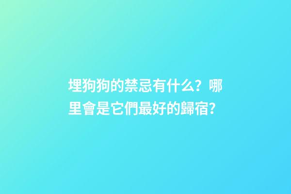 埋狗狗的禁忌有什么？哪里會是它們最好的歸宿？