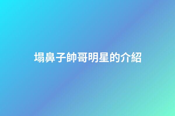 塌鼻子帥哥明星的介紹