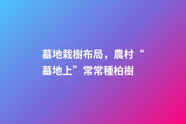 墓地栽樹布局，農村“墓地上”常常種柏樹-第1張-觀點-玄機派