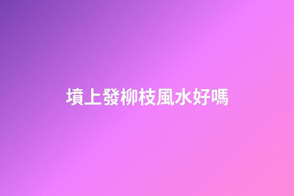 墳上發柳枝風水好嗎