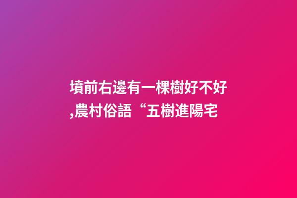 墳前右邊有一棵樹好不好,農村俗語“五樹進陽宅-第1張-觀點-玄機派