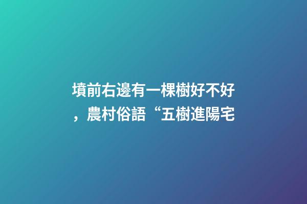 墳前右邊有一棵樹好不好，農村俗語“五樹進陽宅-第1張-觀點-玄機派