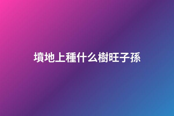 墳地上種什么樹旺子孫