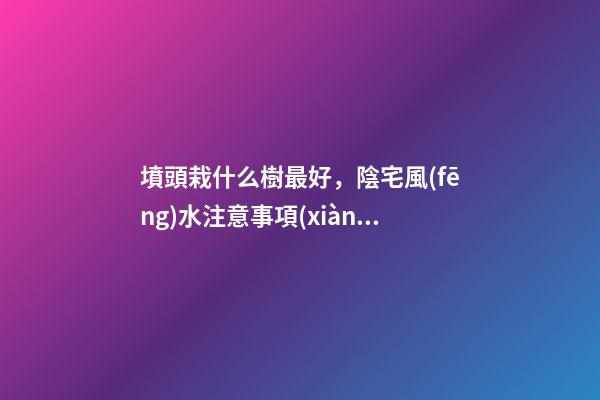 墳頭栽什么樹最好，陰宅風(fēng)水注意事項(xiàng)