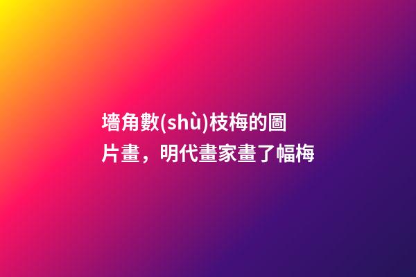 墻角數(shù)枝梅的圖片畫，明代畫家畫了幅梅-第1張-觀點-玄機派