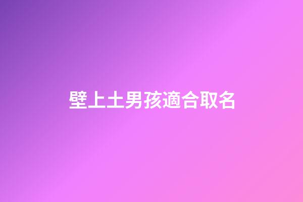 壁上土男孩適合取名(壁上土男孩小名)