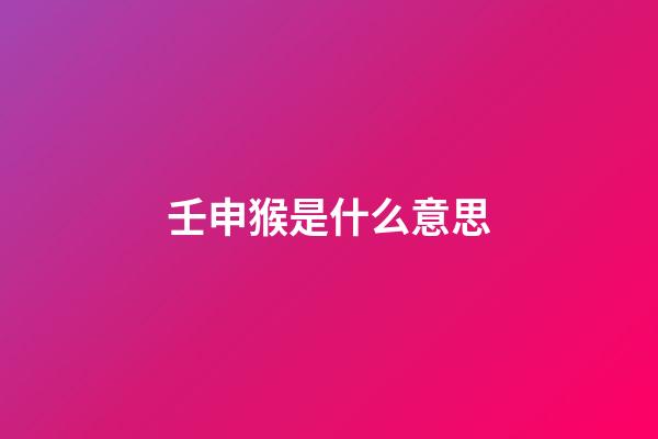 壬申猴是什么意思