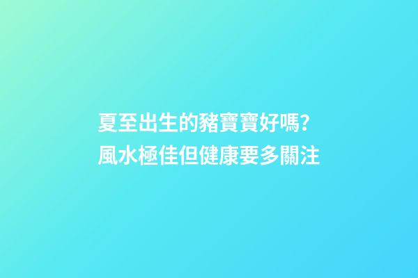 夏至出生的豬寶寶好嗎？風水極佳但健康要多關注