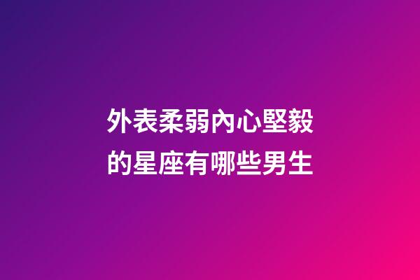 外表柔弱內心堅毅的星座有哪些男生-第1張-星座運勢-玄機派