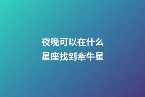夜晚可以在什么星座找到牽牛星