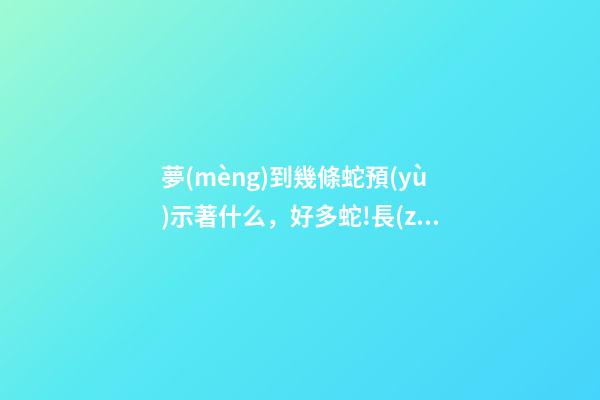 夢(mèng)到幾條蛇預(yù)示著什么，好多蛇!長(zhǎng)沙街頭驚現(xiàn)的“蛇出沒(méi)”-第1張-觀點(diǎn)-玄機(jī)派