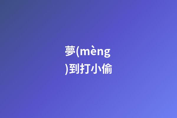 夢(mèng)到打小偷