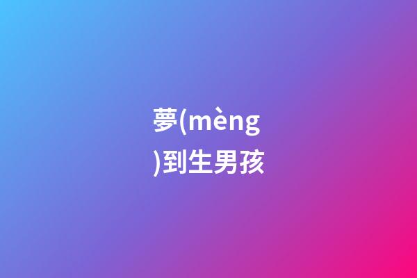 夢(mèng)到生男孩
