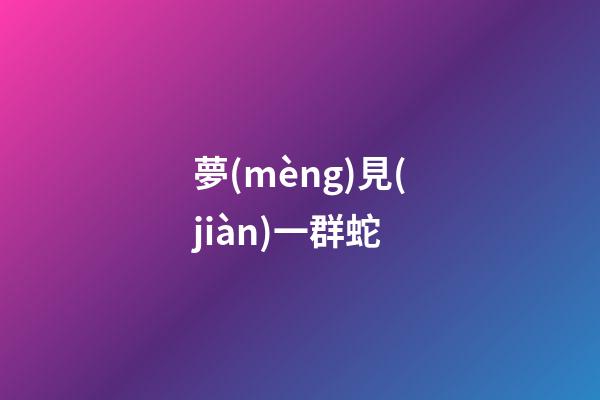 夢(mèng)見(jiàn)一群蛇