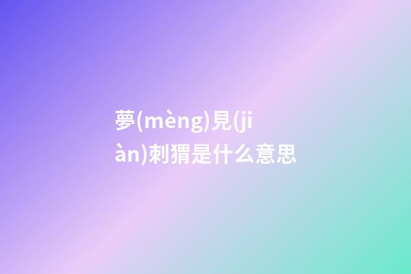 夢(mèng)見(jiàn)刺猬是什么意思