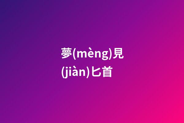 夢(mèng)見(jiàn)匕首