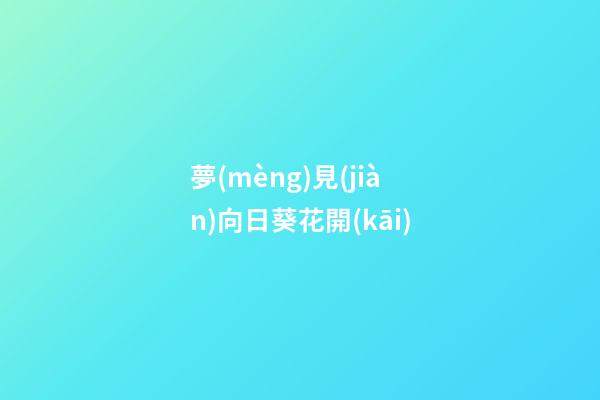 夢(mèng)見(jiàn)向日葵花開(kāi)