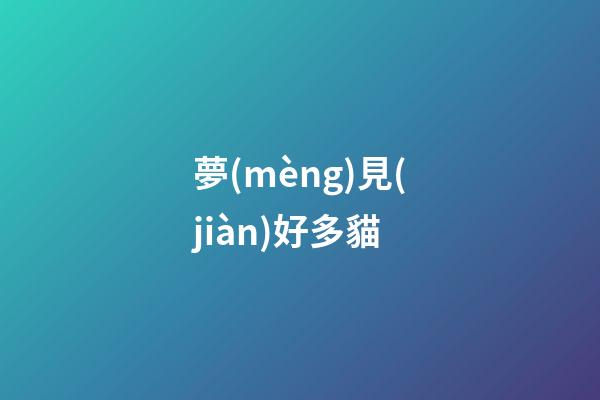 夢(mèng)見(jiàn)好多貓