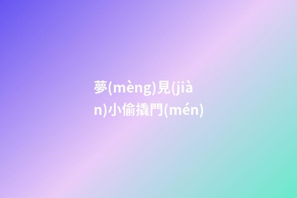 夢(mèng)見(jiàn)小偷撬門(mén)