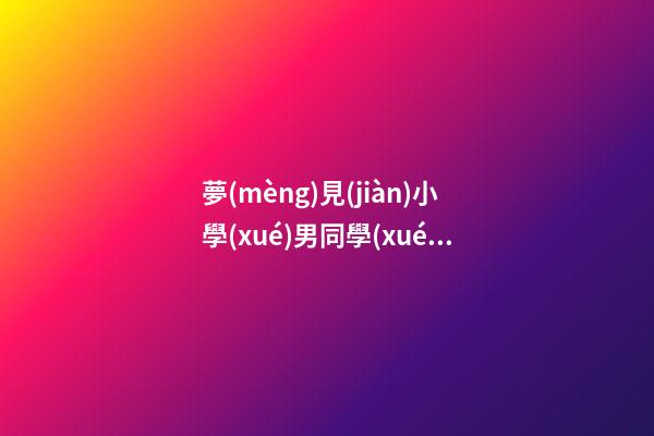 夢(mèng)見(jiàn)小學(xué)男同學(xué)