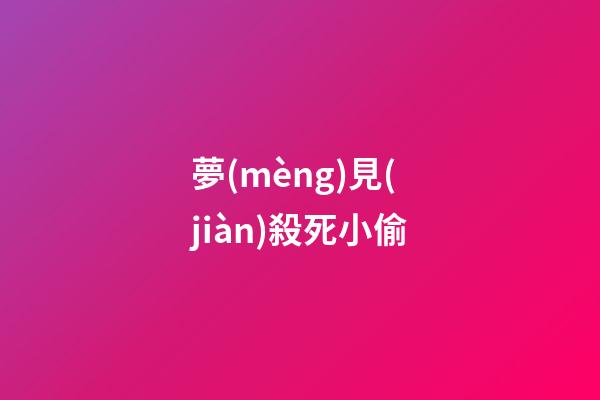 夢(mèng)見(jiàn)殺死小偷