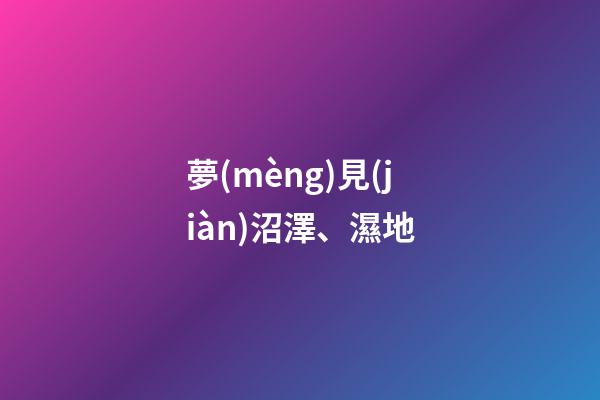 夢(mèng)見(jiàn)沼澤、濕地
