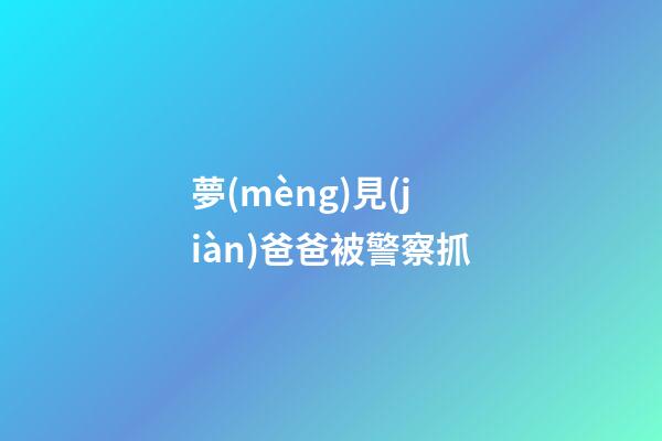 夢(mèng)見(jiàn)爸爸被警察抓