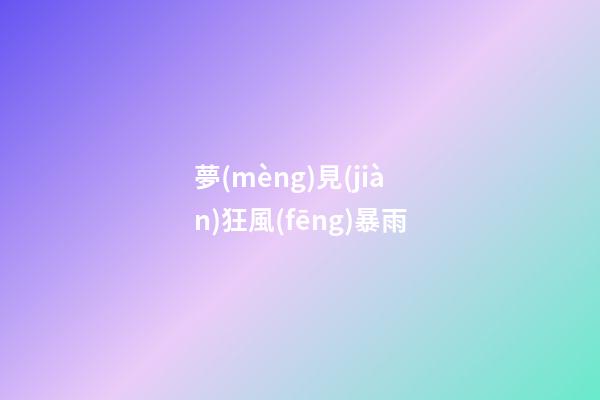 夢(mèng)見(jiàn)狂風(fēng)暴雨