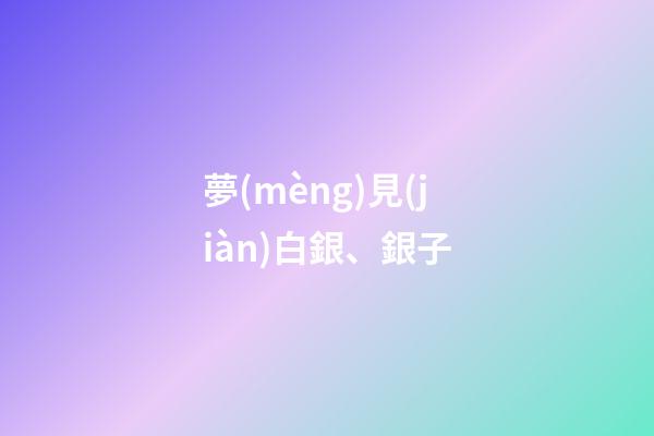 夢(mèng)見(jiàn)白銀、銀子