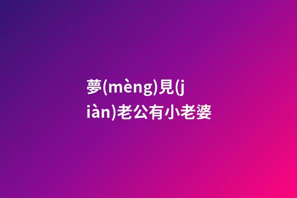 夢(mèng)見(jiàn)老公有小老婆