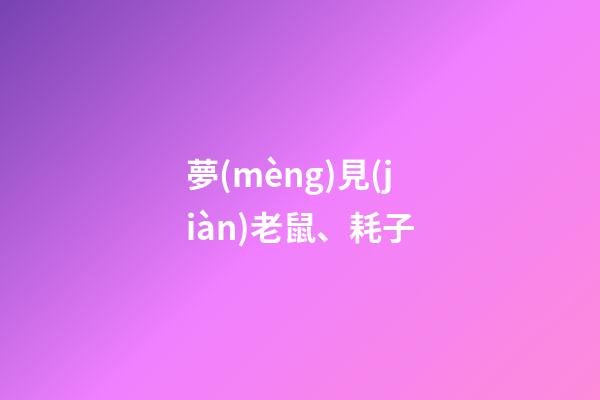 夢(mèng)見(jiàn)老鼠、耗子