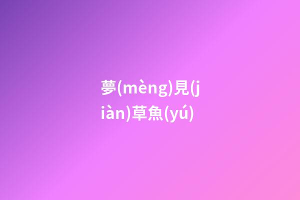 夢(mèng)見(jiàn)草魚(yú)