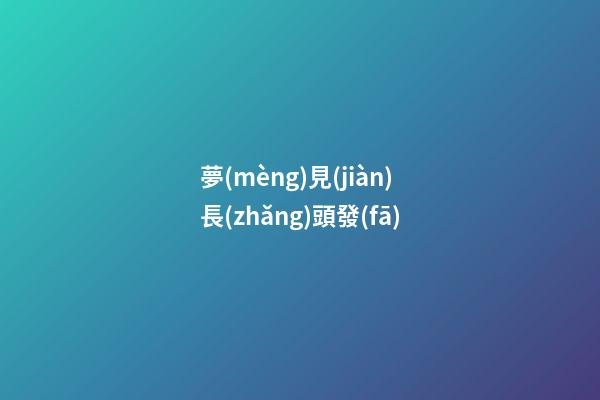 夢(mèng)見(jiàn)長(zhǎng)頭發(fā)