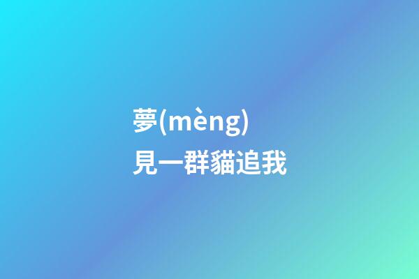 夢(mèng)見一群貓追我