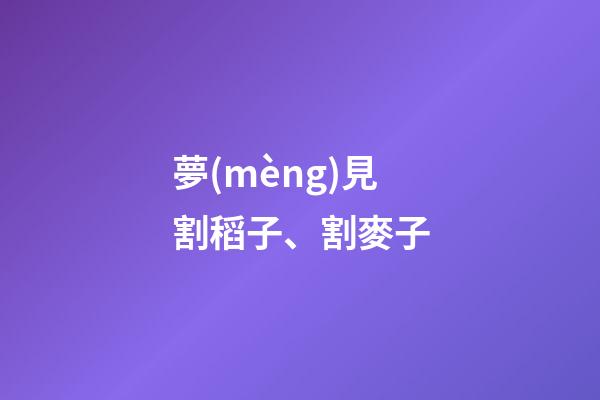夢(mèng)見割稻子、割麥子