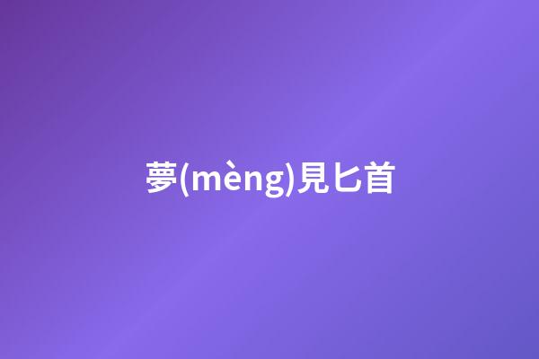 夢(mèng)見匕首