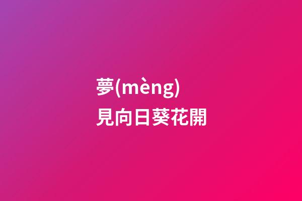 夢(mèng)見向日葵花開