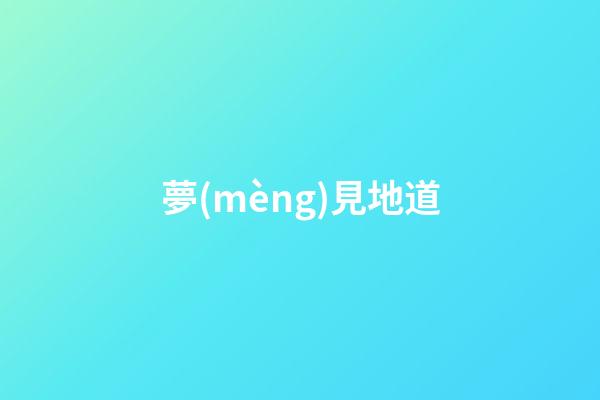 夢(mèng)見地道