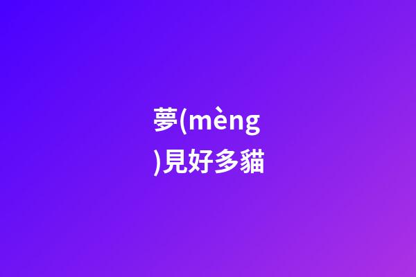 夢(mèng)見好多貓