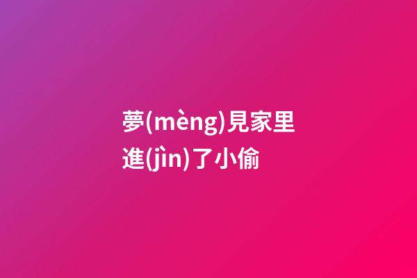 夢(mèng)見家里進(jìn)了小偷