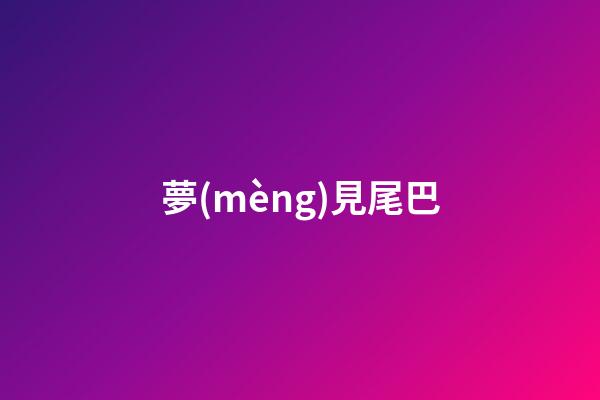 夢(mèng)見尾巴