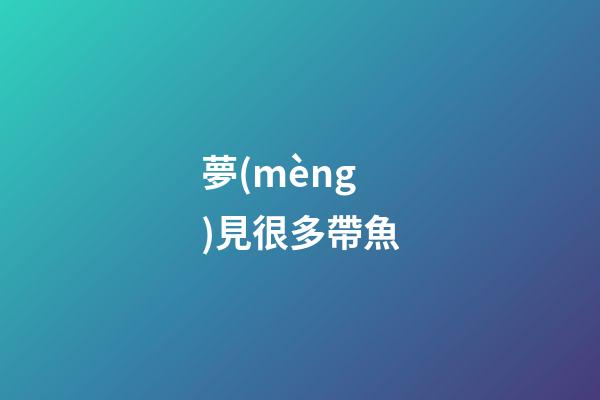 夢(mèng)見很多帶魚
