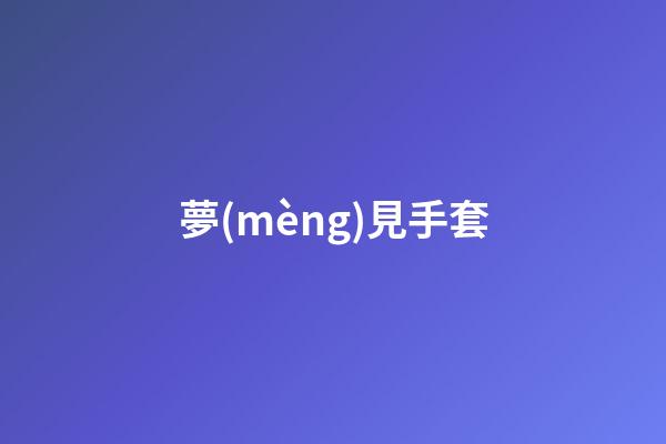 夢(mèng)見手套