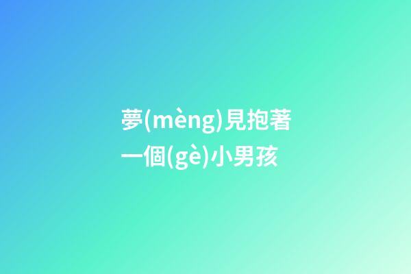 夢(mèng)見抱著一個(gè)小男孩