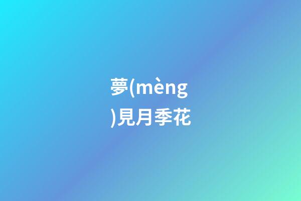 夢(mèng)見月季花