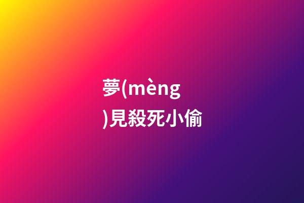 夢(mèng)見殺死小偷