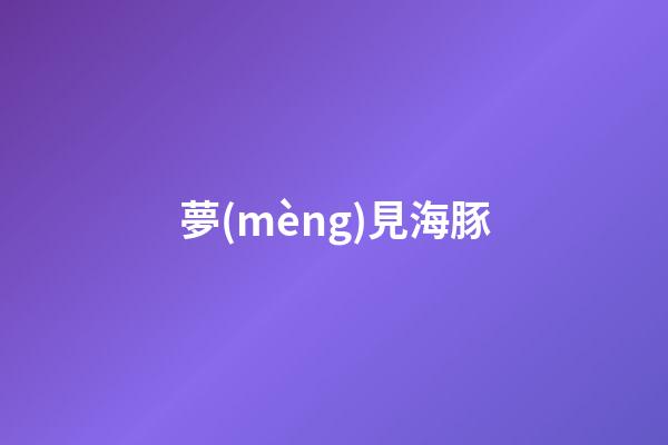 夢(mèng)見海豚