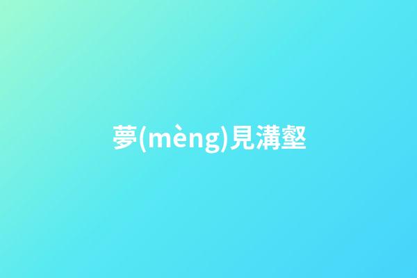 夢(mèng)見溝壑